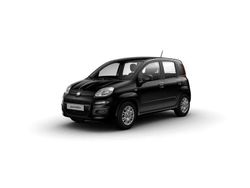Gelb Neu 2025 Fiat Panda Icon Limousine | 14.990 € (Fairer Preis)