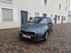 Grau Gebraucht 2021 Skoda Octavia Style Kombi | 12.900 € (Teuer)