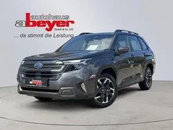 Grau Neu 2025 Subaru Forester Trend SUV | 39.390 € (Etwas zu teuer)