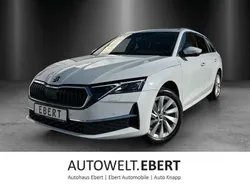 Moonweiss Gebraucht 2024 Skoda Octavia Selection Kombi | 30.890 € (Guter Preis)