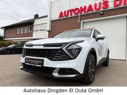Weiß Gebraucht 2024 Kia Sportage Vision SUV | 30.950 € (Superpreis)