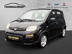 Othercolor Gebraucht 2024 Fiat Panda Kleinwagen | 12.970 € (Guter Preis)