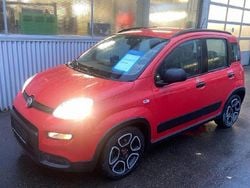 Colore esterno (bartolini rot) Gebraucht 2022 Fiat Panda City Life Limousine | 9.990 € (Fairer Preis)