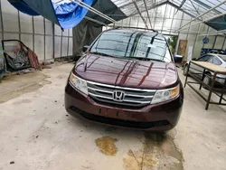Rot Gebraucht 2011 Honda Odyssey Van / Kleinbus | 5.000 €