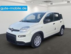 Andere farbe Gebraucht 2024 Fiat Panda Kleinwagen | 14.490 € (Fairer Preis)