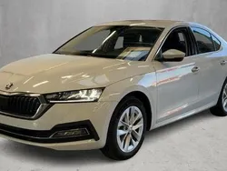 Weiß Gebraucht 2023 Skoda Octavia Style Limousine | 24.480 € (Guter Preis)