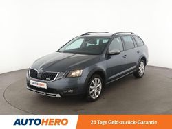 Grau Gebraucht 2019 Skoda Octavia Scout 4x4 Kombi | 20.860 € (Etwas zu teuer)