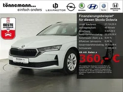 Weiss Gebraucht 2024 Skoda Octavia Ambition Kombi | 27.724 € (Guter Preis)