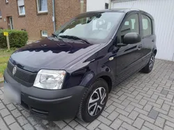 Blau Gebraucht 2010 Fiat Panda Kleinwagen | 1.500 € (Guter Preis)