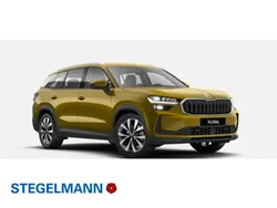 Gold Gebraucht 2025 Skoda Kodiaq Selection SUV | 46.610 € (Etwas zu teuer)