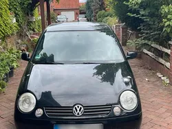 Grau Gebraucht 2005 VW Lupo Kleinwagen | 750 € (Guter Preis)