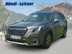 Beige Gebraucht 2024 Subaru Forester Active SUV | 37.990 € (Fairer Preis)