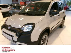 Beige Gebraucht 2024 Fiat Panda Kleinwagen | 18.990 €