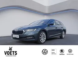 Grau Gebraucht 2020 Skoda Octavia First Edition Kombi | 19.288 € (Fairer Preis)