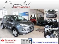 Grau Gebraucht 2017 Ford Ecosport SUV | 8.495 € (Fairer Preis)