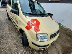 Gelb Gebraucht 2009 Fiat Panda Kleinwagen | 1.200 € (Guter Preis)