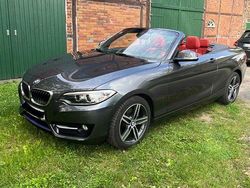Grau Gebraucht 2015 BMW 220 Sport Line Cabrio | 16.250 € (Guter Preis)