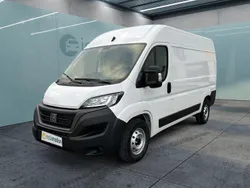Weiß Gebraucht 2023 Fiat Ducato Van | 34.699 € (Fairer Preis)