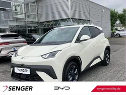 Weiß Gebraucht 2025 BYD Dolphin Comfort Kleinwagen | 29.970 €