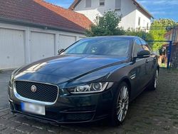 Grün Gebraucht 2015 Jaguar XE Limousine | 10.900 €