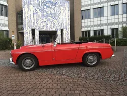 Rot Gebraucht 1962 MG Midget Cabrio | 17.500 €