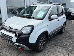 Weiß Gebraucht 2019 Fiat Panda Cross Cross Kleinwagen | 10.450 € (Etwas zu teuer)