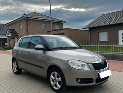Grau Gebraucht 2009 Skoda Fabia Kleinwagen | 3.500 € (Teuer)