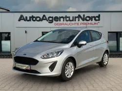 Silber Gebraucht 2021 Ford Fiesta Trend Kleinwagen | 12.450 € (Guter Preis)