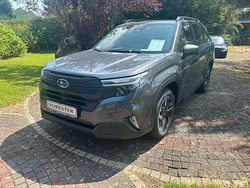 Grau Neu 2025 Subaru Forester Active SUV | 41.500 € (Guter Preis)