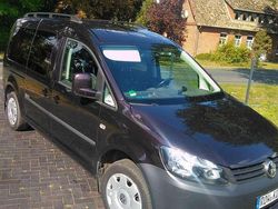 Violett Gebraucht 2011 VW Caddy Maxi Van / Kleinbus | 8.000 € (Etwas zu teuer)