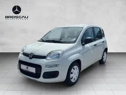 Weiß Gebraucht 2018 Fiat Panda Easy Kleinwagen | 7.990 € (Etwas zu teuer)