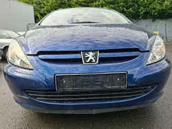 Blau Gebraucht 2003 Peugeot 307 Kombi | 2.499 € (Etwas zu teuer)