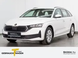 Weiß Neu 2024 Skoda Octavia Essence Kombi | 26.950 €