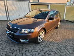 Braun Gebraucht 2016 Skoda Octavia Style Kombi | 10.500 € (Fairer Preis)