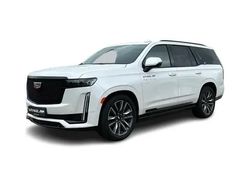 Weiß Gebraucht 2024 Cadillac Escalade SUV | 109.989 € (Etwas zu teuer)