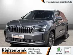 Grau Neu 2024 Skoda Kodiaq Selection SUV | 55.749 € (Teuer)
