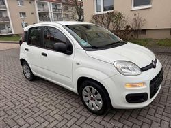 Colore esterno (weiss) Gebraucht 2016 Fiat Panda Pop Kleinwagen | 5.250 € (Fairer Preis)