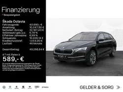 Weiß Gebraucht 2025 Skoda Octavia Tour Kombi | 40.990 € (Teuer)