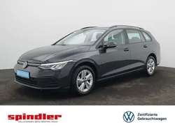 Uranograu Gebraucht 2023 VW Golf VIII Life Kombi | 25.580 € (Guter Preis)