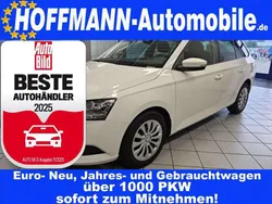Candyweiss Gebraucht 2023 Skoda Fabia Kombi | 15.650 € (Guter Preis)