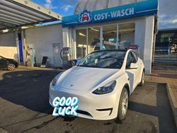 Weiß Gebraucht 2023 Tesla Model Y RWD SUV | 30.000 € (Fairer Preis)