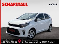 Weiss ((ud) schneeweiss) Gebraucht 2024 Kia Picanto Vision Kleinwagen | 15.979 € (Fairer Preis)