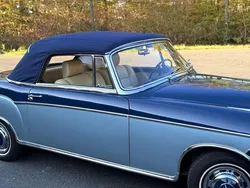 Blau Gebraucht 1957 Mercedes W180 Cabrio | 168.800 €