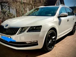 Weiß Gebraucht 2019 Skoda Octavia Ambition Kombi | 12.400 € (Fairer Preis)