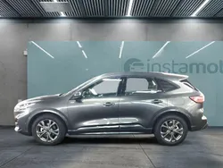 Grau Neu 2024 Ford Kuga SUV | 30.149 € (Superpreis)
