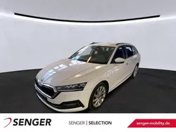 Weiss Gebraucht 2021 Skoda Octavia Limousine | 21.990 € (Etwas zu teuer)