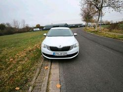 Weiß Gebraucht 2017 Skoda Octavia Limousine | 14.650 €