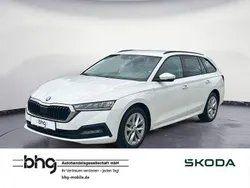 Weiß Gebraucht 2023 Skoda Octavia Ambition Kombi | 25.960 € (Guter Preis)