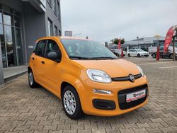 Orange Gebraucht 2021 Fiat Panda Kleinwagen | 10.388 € (Fairer Preis)
