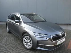 Grau Gebraucht 2024 Skoda Octavia Selection Limousine | 32.990 € (Fairer Preis)